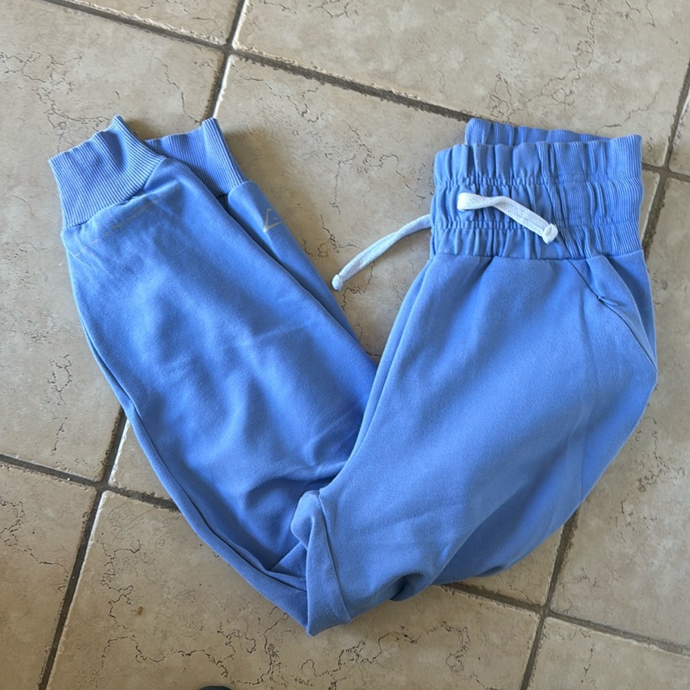 Whitney Simmons V1 jogger